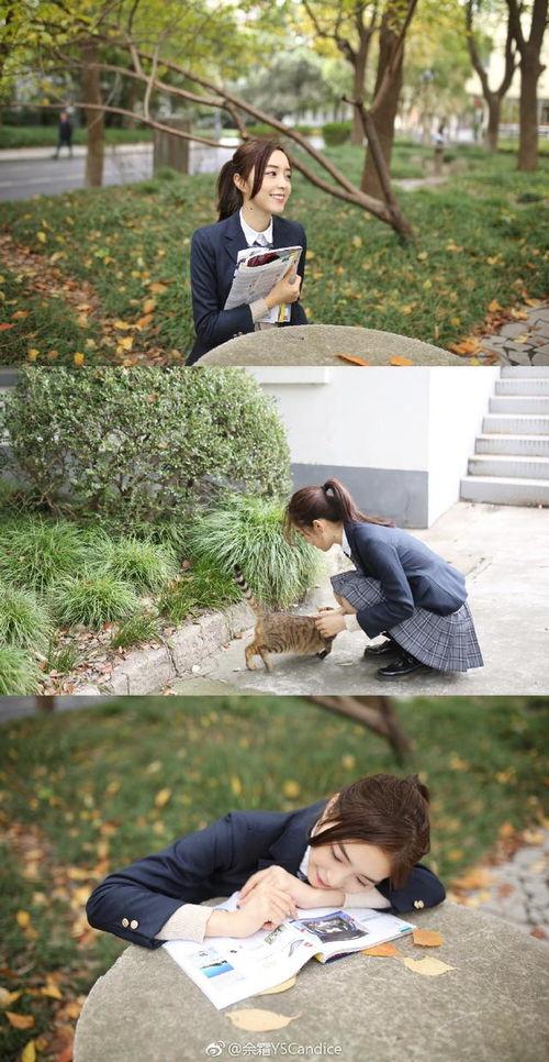 校园风照片,捕捉青春记忆的瞬间