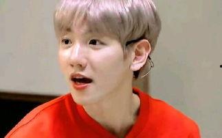 娱乐圈之边伯贤,娱乐圈璀璨星辰的闪耀之旅