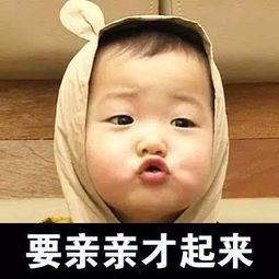 宋民国亲亲表情包,萌态可掬，笑点满满